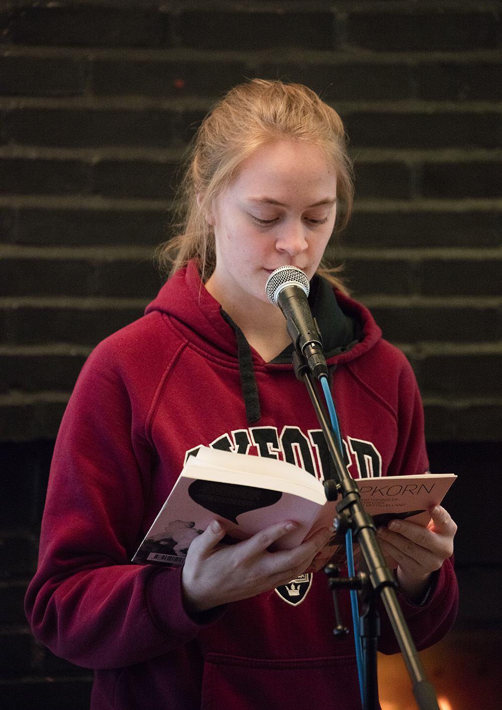 Forfatterskolen for unge og FGK (ForfatterGundKursus) på Litt Talk Litteraturfestival på Vallekilde Højskole, februar 2019.